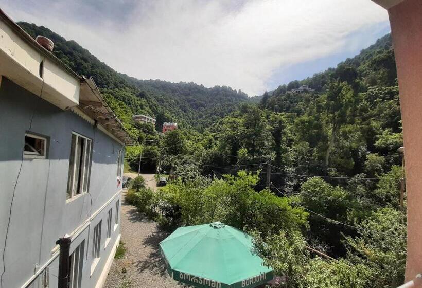 اتاق سوپریور با چشم‌انداز کوهستان, Giorgi Kvariati