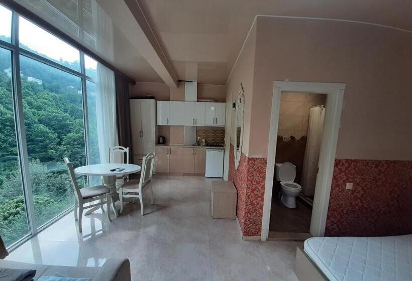 اتاق سوپریور با چشم‌انداز کوهستان, Giorgi Kvariati