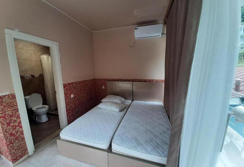 اتاق سوپریور با چشم‌انداز کوهستان, Giorgi Kvariati