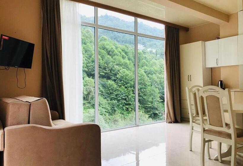 اتاق سوپریور با چشم‌انداز کوهستان, Giorgi Kvariati