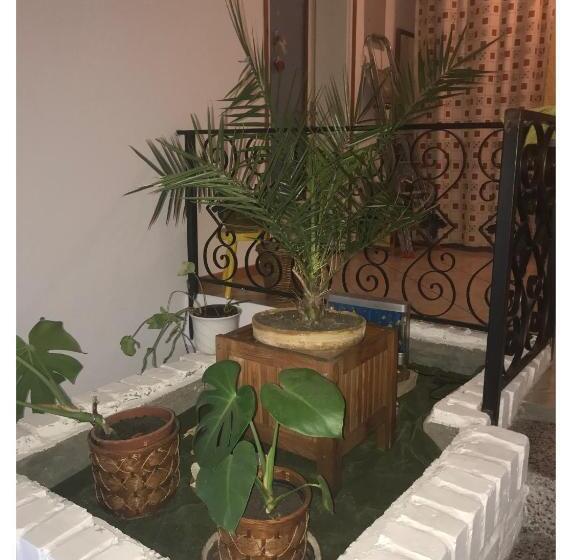 اتاق استاندارد, Hostel Bata