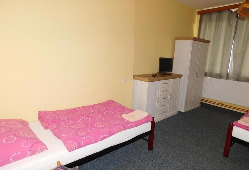 带2个卧室的公寓, Pension U Mojmíra