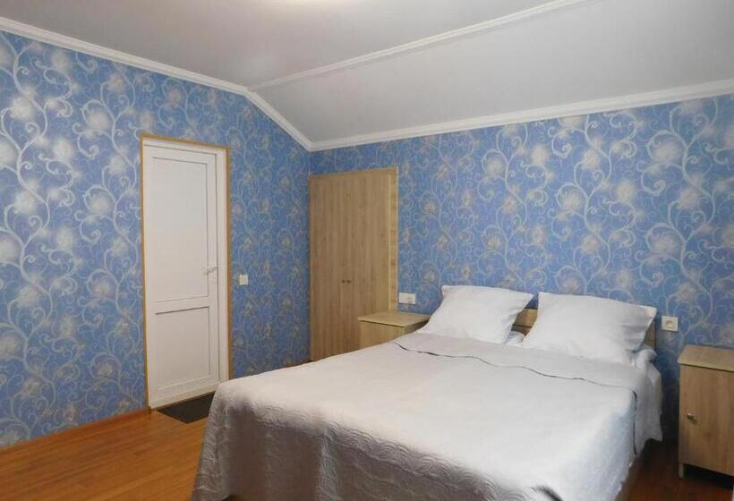 اتاق اکونومی, Akaki's Guesthouse