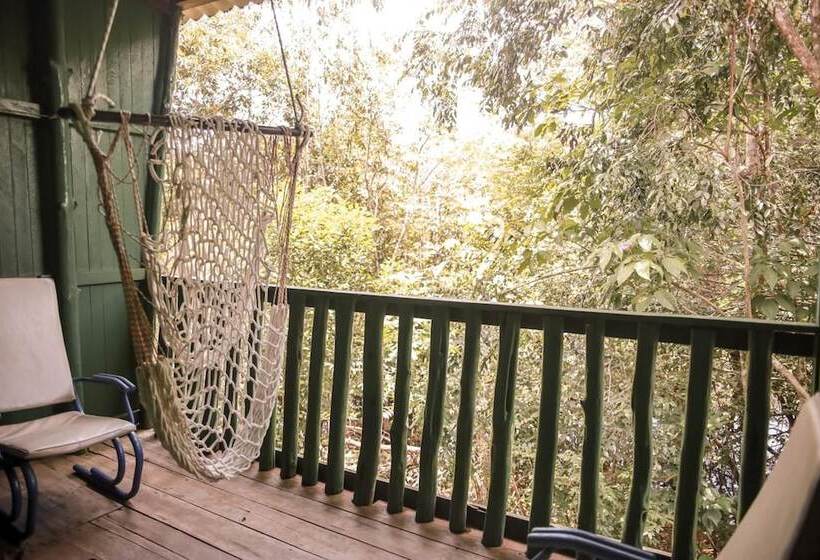 Номер Стандарт, Amazonia Jungle