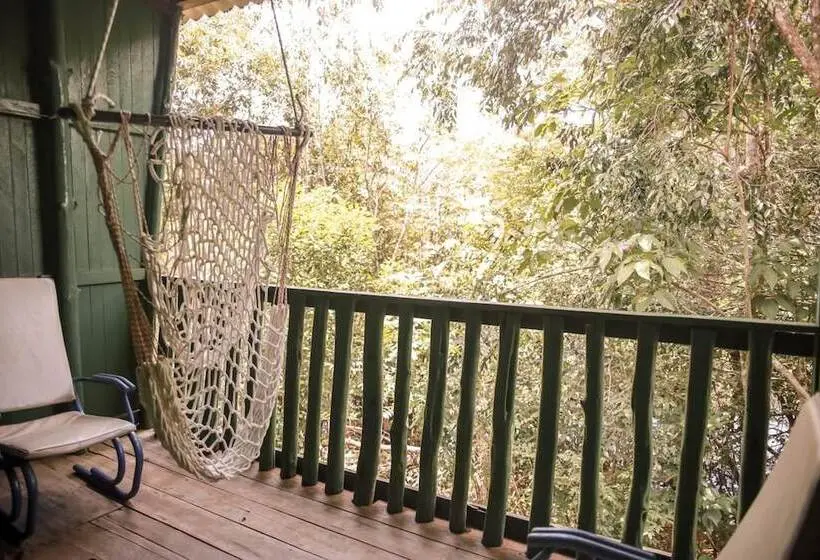 スタンダードルーム, Amazonia Jungle