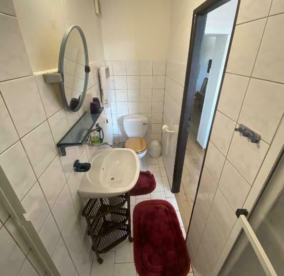 Апартаменты 1 Спальня, Penzion V Kolonce