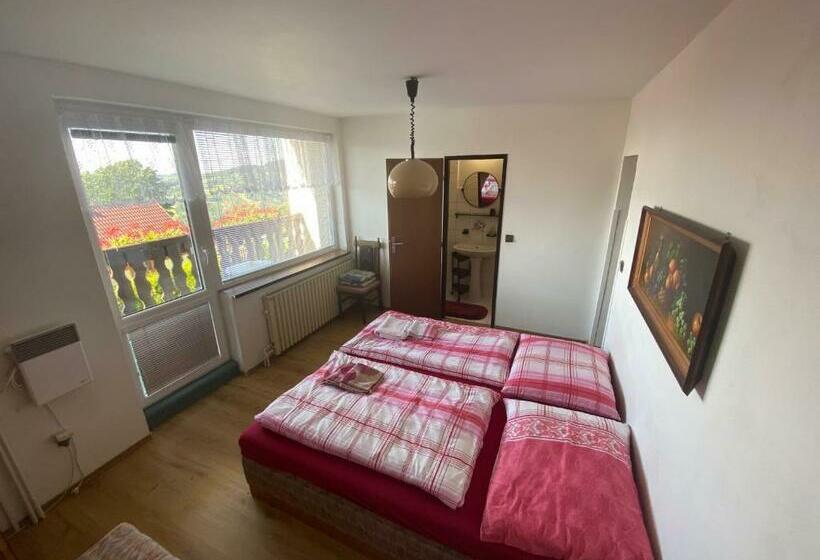 Апартаменты 1 Спальня, Penzion V Kolonce