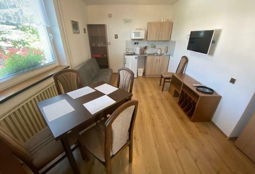 Апартаменты 1 Спальня, Penzion V Kolonce