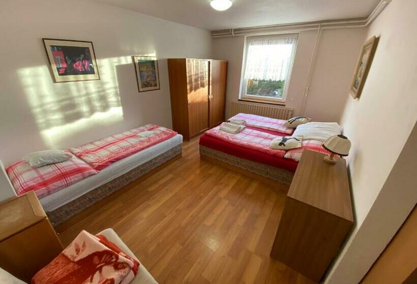 Апартаменты 1 Спальня, Penzion V Kolonce