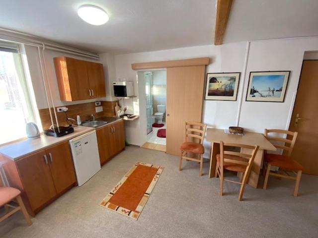 Апартаменты 1 Спальня, Penzion V Kolonce