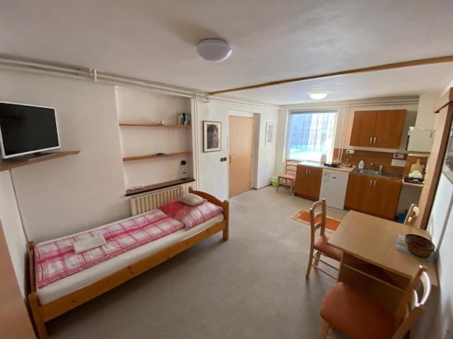 Апартаменты 1 Спальня, Penzion V Kolonce