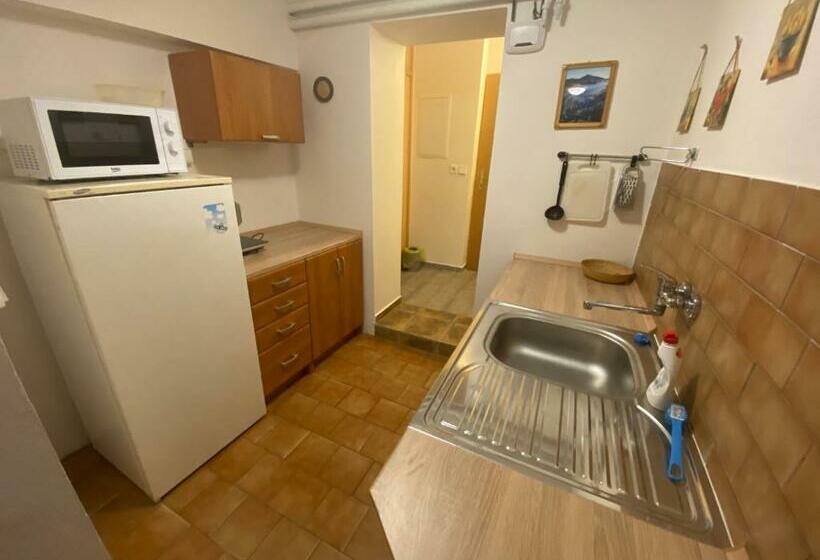 Четырехместный Номер Стандарт, Penzion V Kolonce