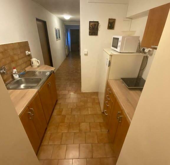 Четырехместный Номер Стандарт, Penzion V Kolonce