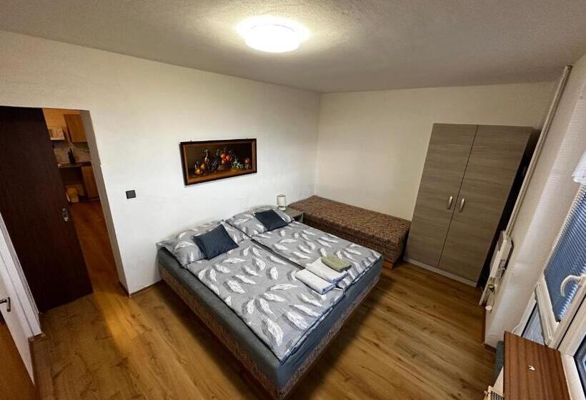 Апартаменты 1 Спальня, Penzion V Kolonce