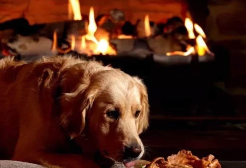 Номер Стандарт, Derwent Manor Boutique