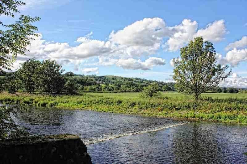 غرفة قياسية, The Spread Eagle