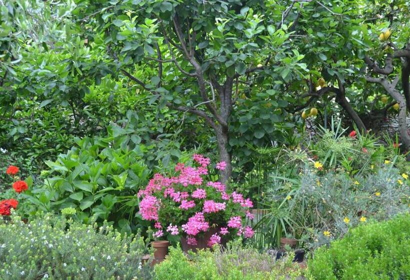 סוויטת ג'וניור דלוקס, Casa Nobile