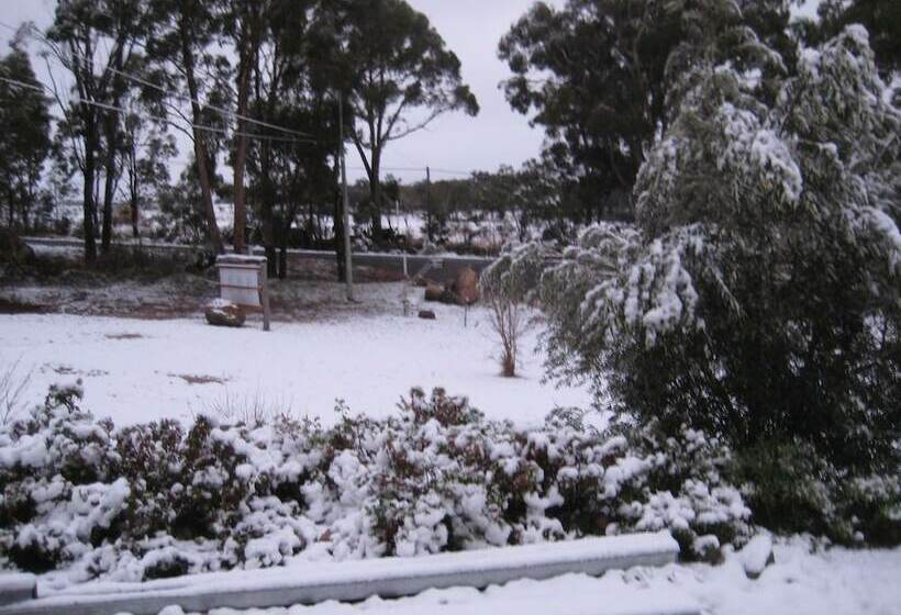 Номер Комфорт, Glen Aplin Gardens B&b