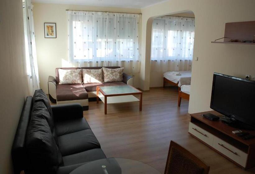 חדר סטודיו סטנדרד, Vitosha