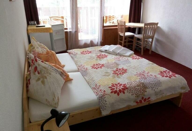 テラス付きスタンダードルーム, Lesní Pension