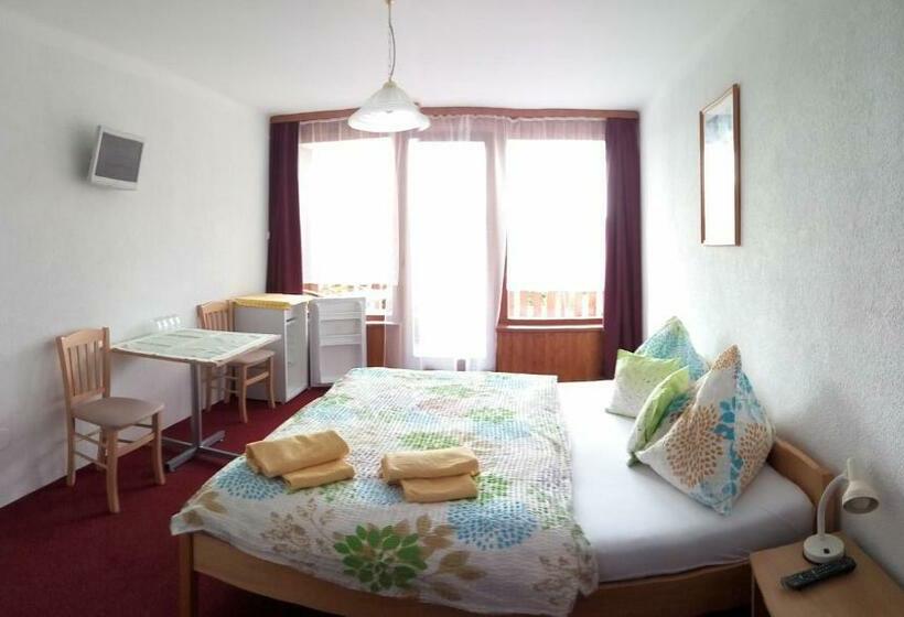 テラス付きスタンダードルーム, Lesní Pension