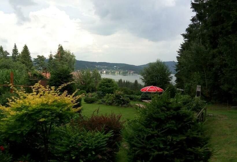 テラス付スタンダードルーム, Lesní Pension