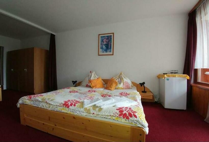 テラス付スタンダードルーム, Lesní Pension