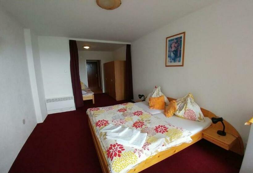 テラス付スタンダードルーム, Lesní Pension