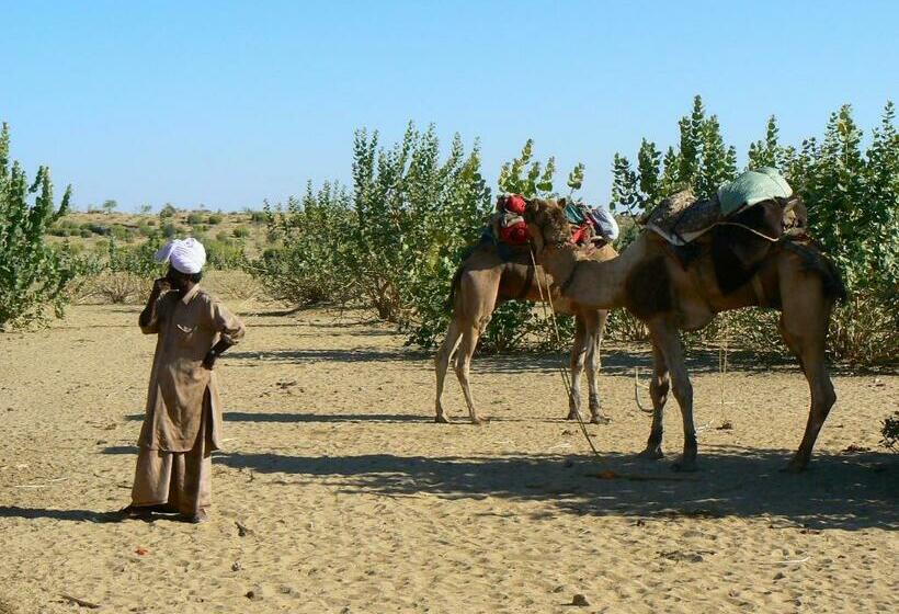Deluxe Trippelrum, Ganesh Guest House