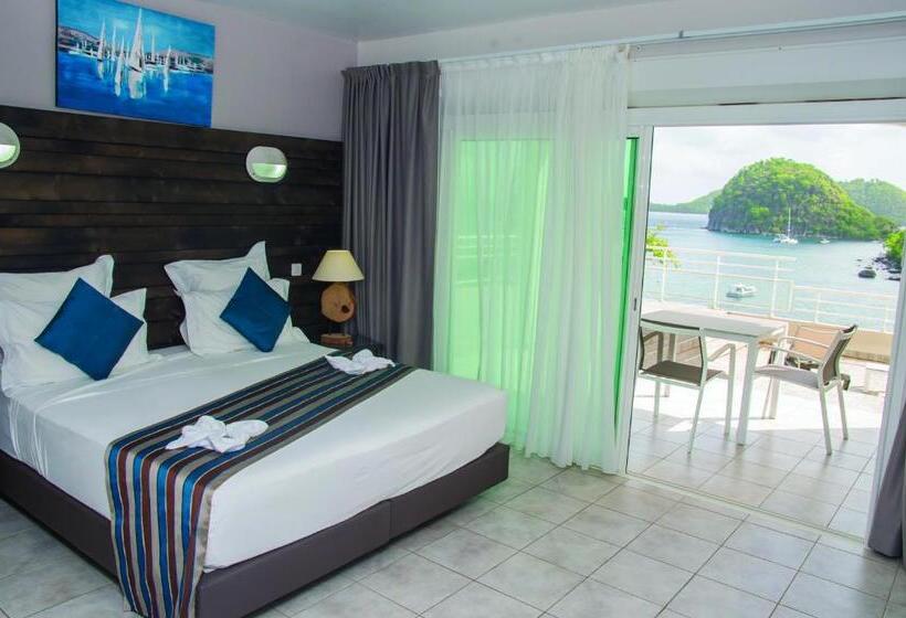 اتاق استاندارد با تخت بزرگ برای معلولان, Hôtel Bois Joli