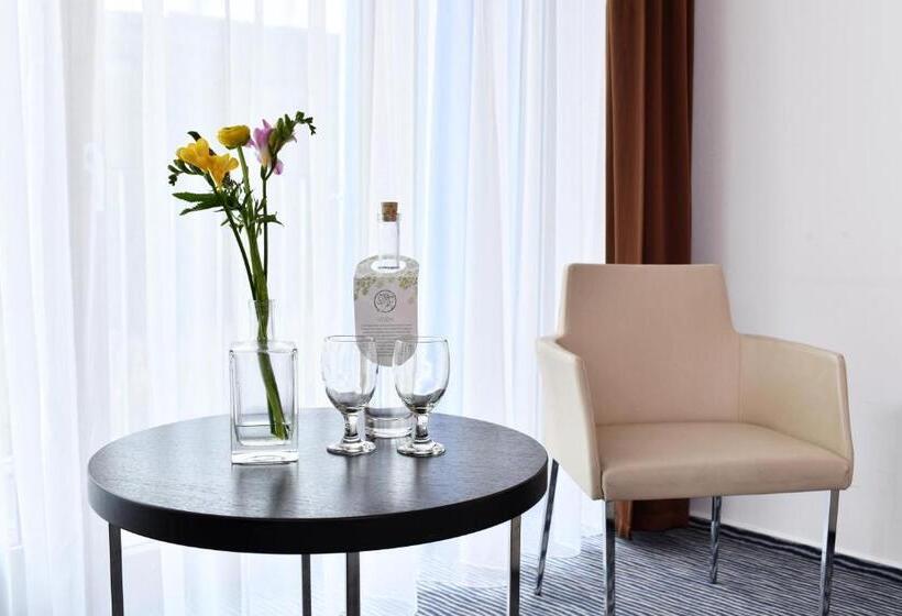 스탠다드 룸, Wellness Hotel Vista