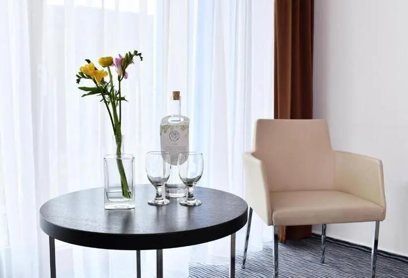 スタンダードルーム, Wellness Hotel Vista
