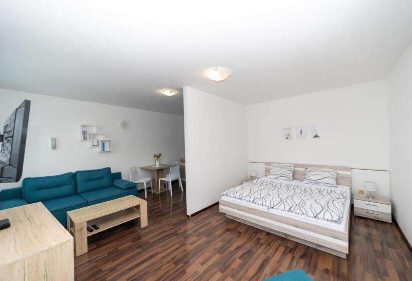 스탠다드 룸, Penzion Bludička