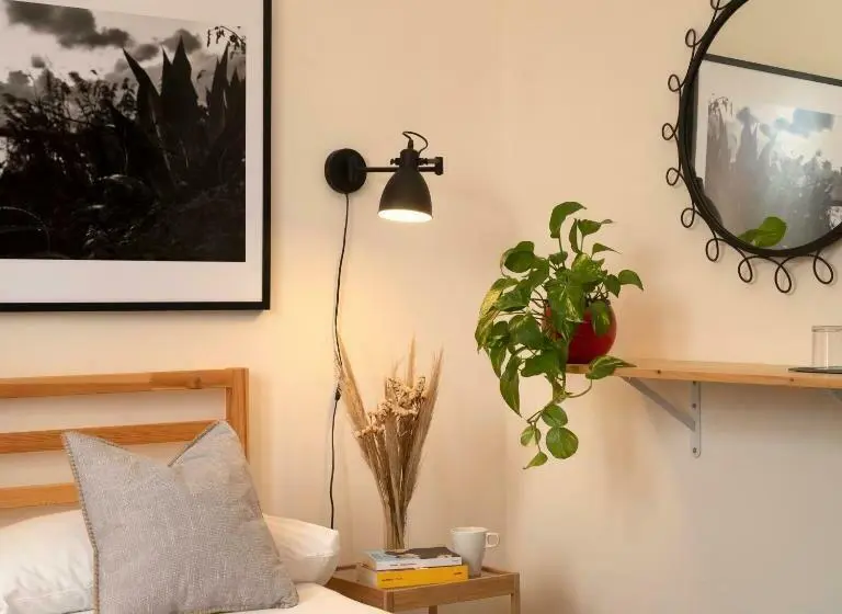 Quarto standard, Stagnone Area Zero