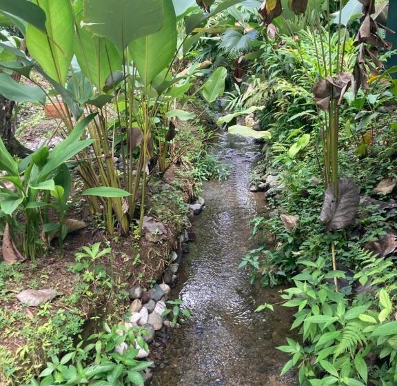 오두막, Yejos Jungle Lodge