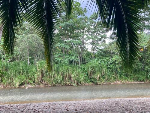 小室, Yejos Jungle Lodge