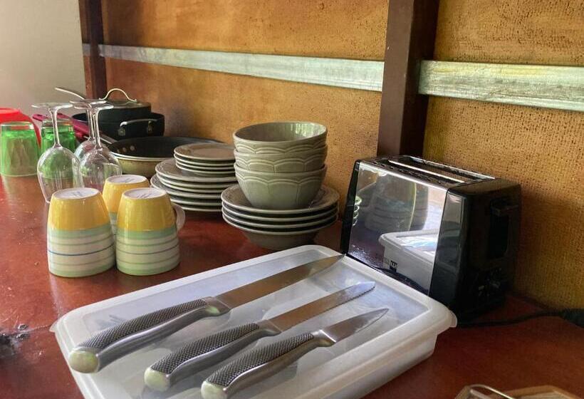 小室, Yejos Jungle Lodge