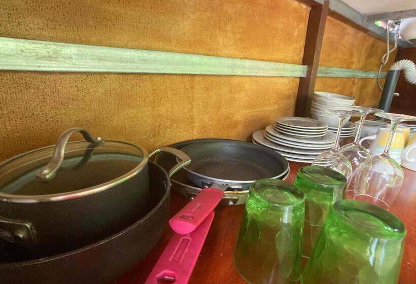 小室, Yejos Jungle Lodge