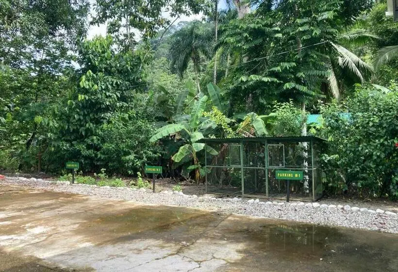 ガーデンビューのスタンダードバンガロー, Yejos Jungle Lodge