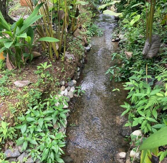 带花园景观的标准洋房, Yejos Jungle Lodge