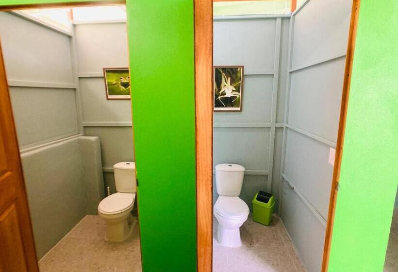 带共用浴室的标准房间, Yejos Jungle Lodge