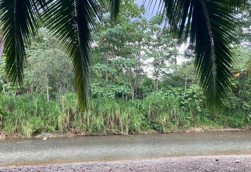 小室, Yejos Jungle Lodge