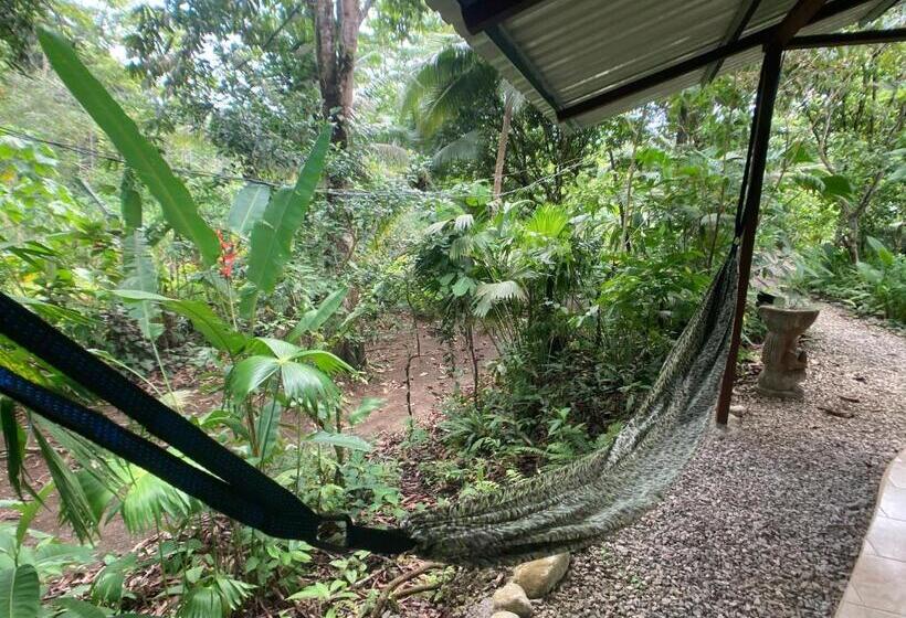 小室, Yejos Jungle Lodge