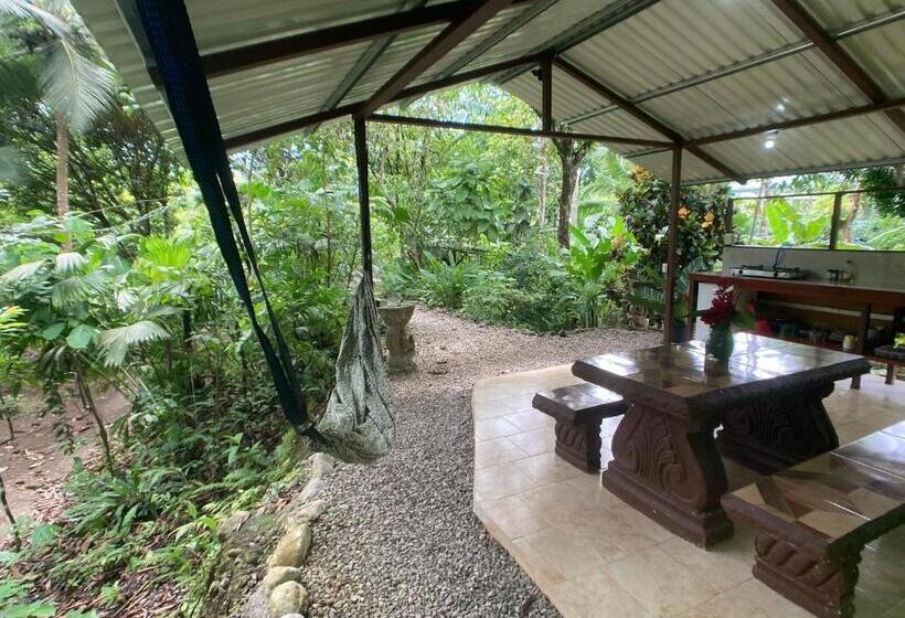 小室, Yejos Jungle Lodge