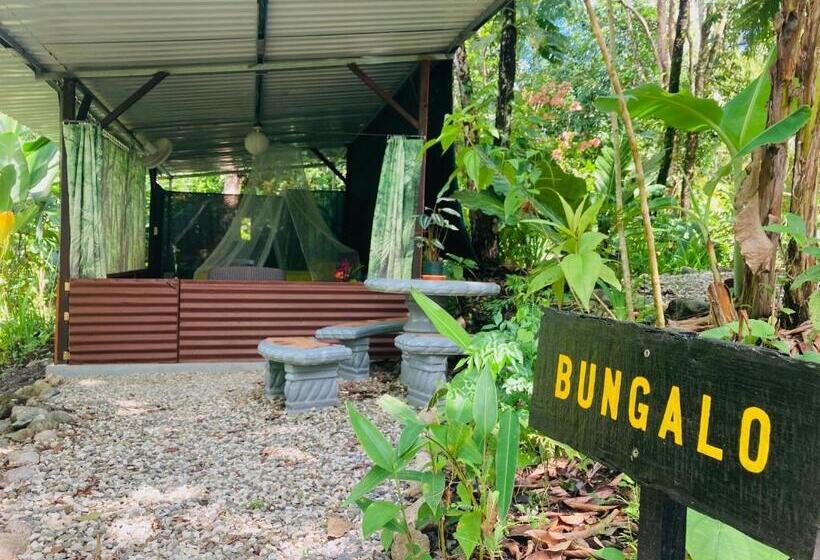 带花园景观的标准洋房, Yejos Jungle Lodge