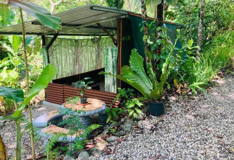 带花园景观的标准洋房, Yejos Jungle Lodge