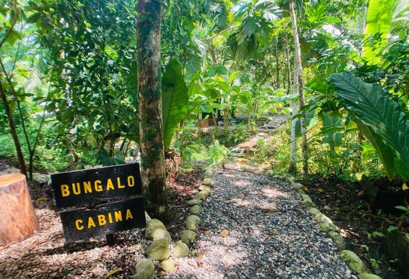 带花园景观的标准洋房, Yejos Jungle Lodge