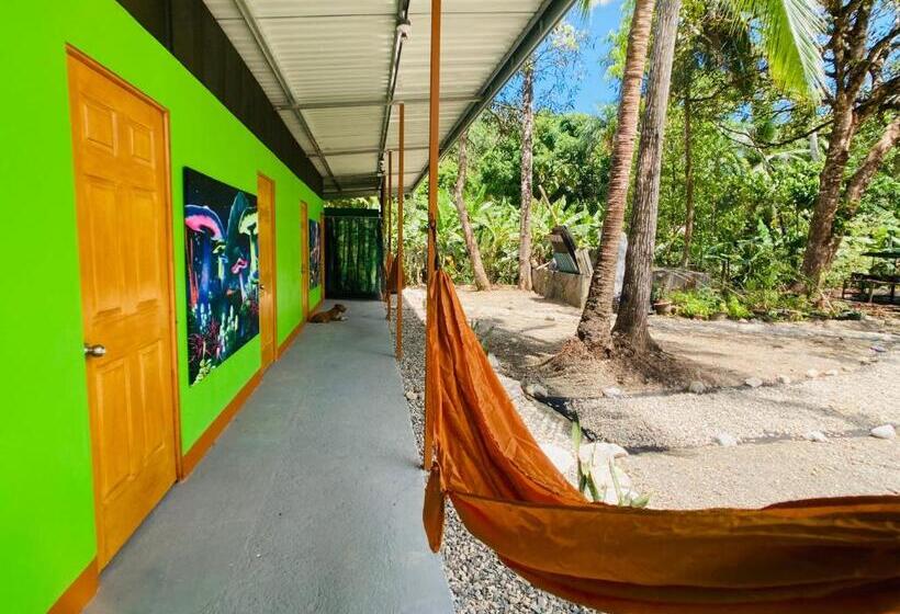스탠다드 룸 공동 욕실, Yejos Jungle Lodge