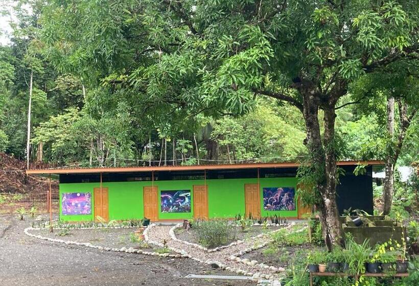 经济房, Yejos Jungle Lodge