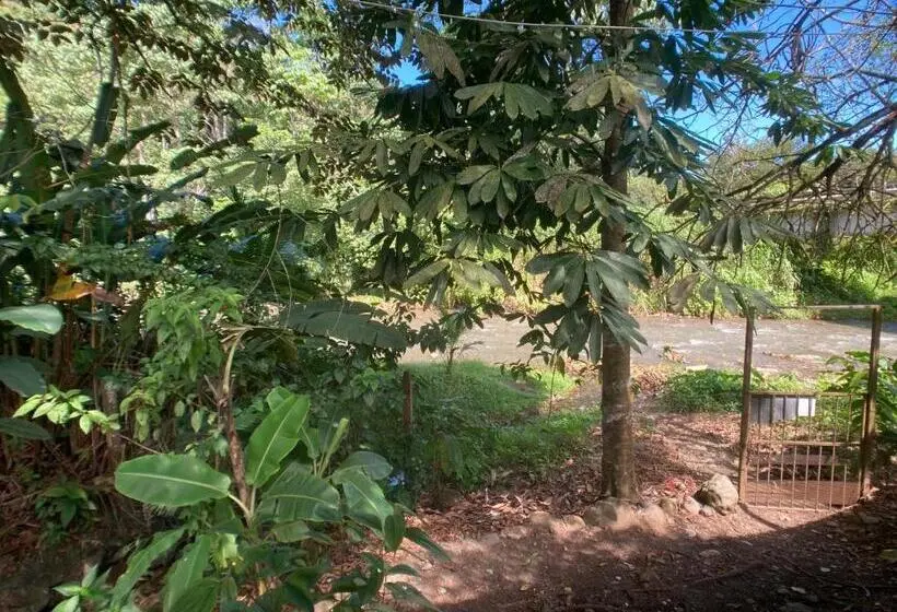家族用バンガロー, Yejos Jungle Lodge